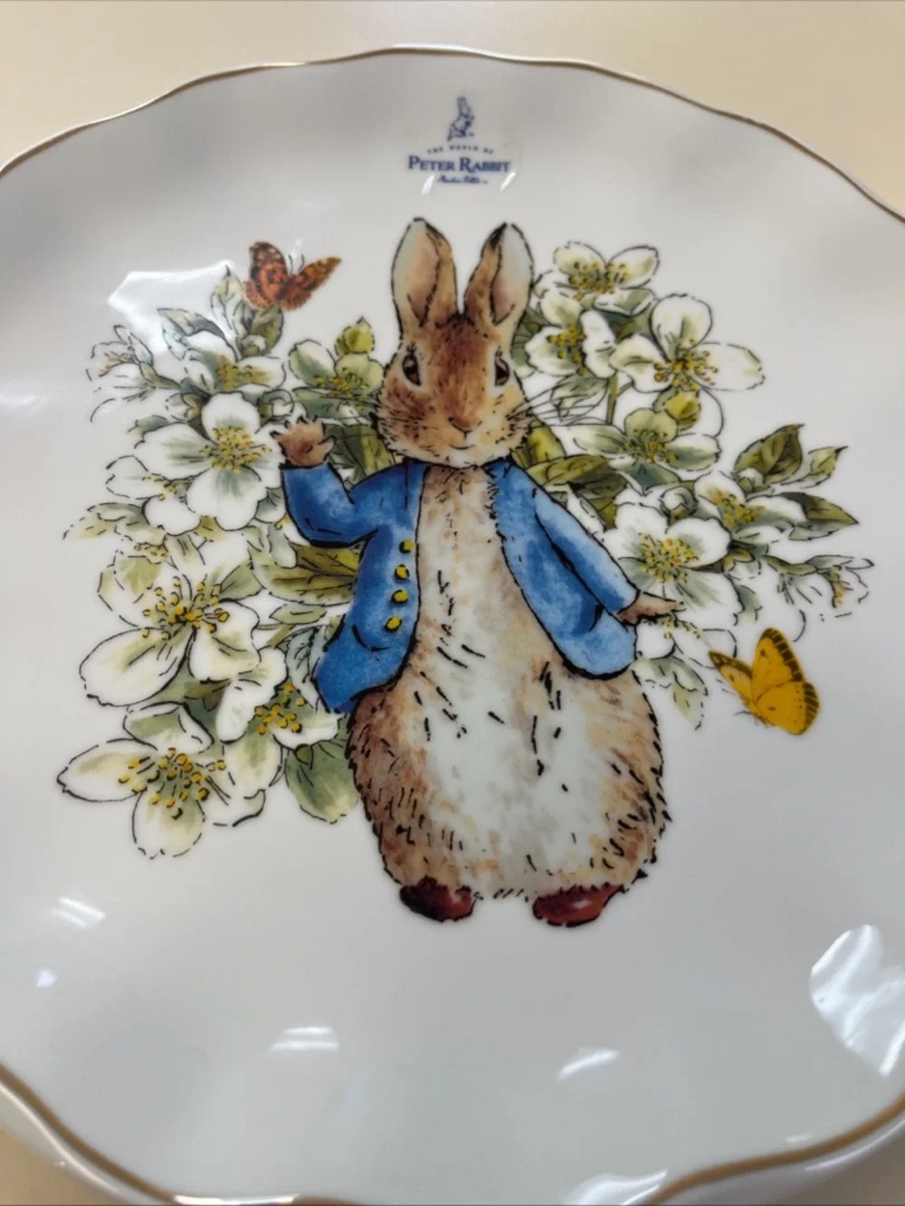 Beatrix Potter Peter Rabbit Dinner Plate 10 3/4 Inches w/ Scalloped Edging